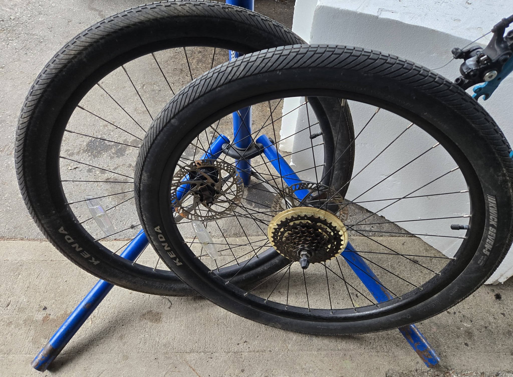 Two bicycle wheels being inspected on a repair stand